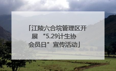 江陵六合垸管理区开展 “5.29计生协会员日”宣传活动