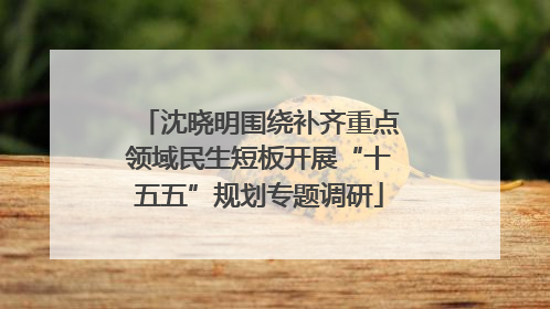 沈晓明围绕补齐重点领域民生短板开展“十五五”规划专题调研
