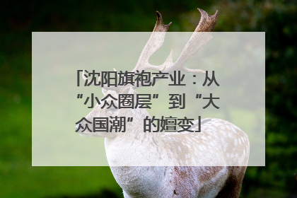 沈阳旗袍产业：从“小众圈层”到“大众国潮”的嬗变