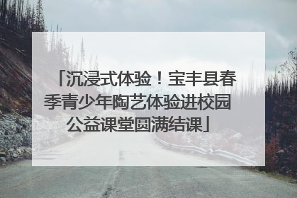 沉浸式体验！宝丰县春季青少年陶艺体验进校园公益课堂圆满结课