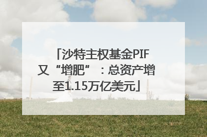 沙特主权基金PIF又“增肥”：总资产增至1.15万亿美元