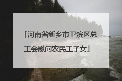 河南省新乡市卫滨区总工会慰问农民工子女
