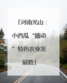 河南光山：小西瓜“撬动”特色农业发展路