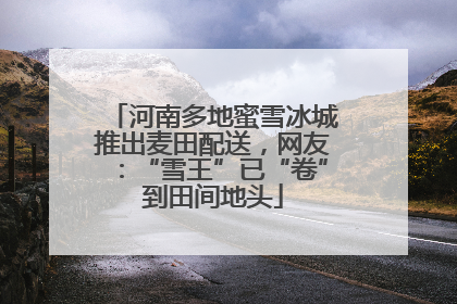 河南多地蜜雪冰城推出麦田配送，网友：“雪王”已“卷”到田间地头