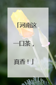 河南这一口茶，真香！