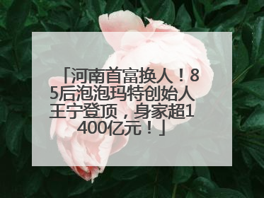 河南首富换人！85后泡泡玛特创始人王宁登顶，身家超1400亿元！