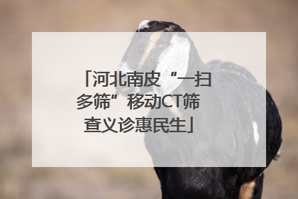 河北南皮“一扫多筛”移动CT筛查义诊惠民生