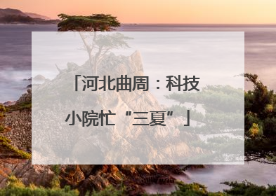 河北曲周：科技小院忙“三夏”