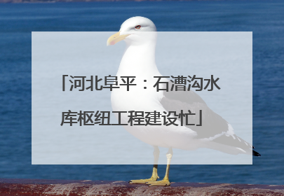 河北阜平：石漕沟水库枢纽工程建设忙