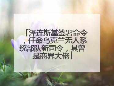 泽连斯基签署命令，任命乌克兰无人系统部队新司令，其曾是商界大佬