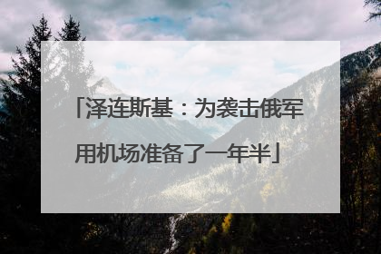 泽连斯基：为袭击俄军用机场准备了一年半