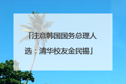 注意韩国国务总理人选：清华校友金民锡