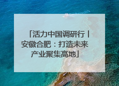 活力中国调研行丨安徽合肥：打造未来产业聚集高地