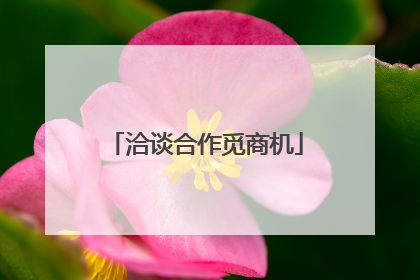 洽谈合作觅商机