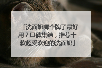 洗面奶哪个牌子最好用？口碑集结，推荐十款超受欢迎的洗面奶