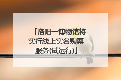 洛阳一博物馆将实行线上实名购票服务(试运行)