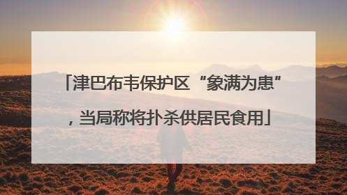 津巴布韦保护区“象满为患”，当局称将扑杀供居民食用