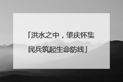 洪水之中，肇庆怀集民兵筑起生命防线