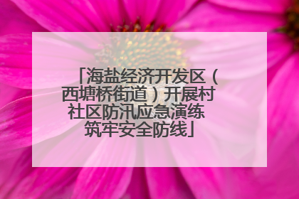 海盐经济开发区（西塘桥街道）开展村社区防汛应急演练 筑牢安全防线