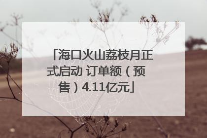 海口火山荔枝月正式启动 订单额（预售）4.11亿元