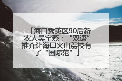 海口秀英区90后新农人吴宇燕：“双语”推介让海口火山荔枝有了“国际范”