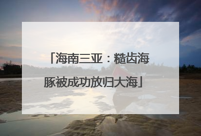 海南三亚：糙齿海豚被成功放归大海