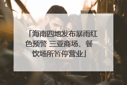 海南四地发布暴雨红色预警 三亚商场、餐饮场所暂停营业