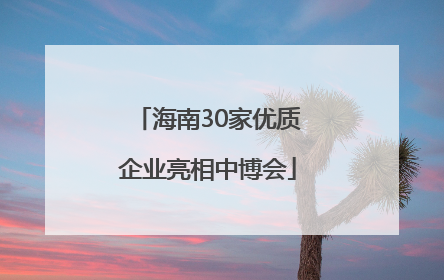 海南30家优质企业亮相中博会