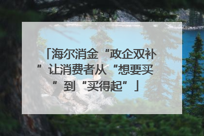 海尔消金“政企双补”让消费者从“想要买”到“买得起”