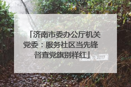 济南市委办公厅机关党委：服务社区当先锋 督查党旗别样红