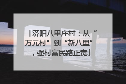 济阳八里庄村：从“万元村”到“新八里”，强村富民路正宽