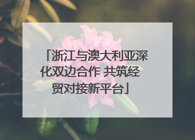 浙江与澳大利亚深化双边合作 共筑经贸对接新平台