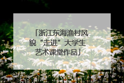 浙江东海渔村风貌“走进”大学生艺术课堂作品