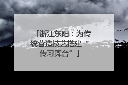 浙江东阳：为传统营造技艺搭建“传习舞台”