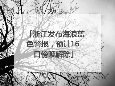 浙江发布海浪蓝色警报，预计16日傍晚解除