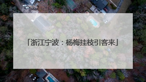 浙江宁波：杨梅挂枝引客来