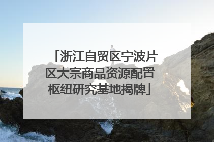浙江自贸区宁波片区大宗商品资源配置枢纽研究基地揭牌