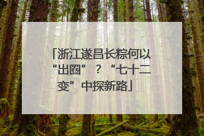 浙江遂昌长粽何以“出圈”？“七十二变”中探新路