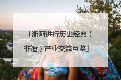 浙阿进行历史经典（非遗）产业交流互鉴