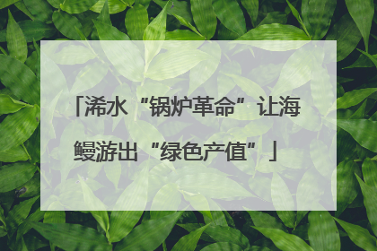 浠水“锅炉革命”让海鳗游出“绿色产值”
