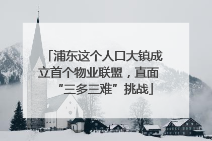 浦东这个人口大镇成立首个物业联盟，直面“三多三难”挑战
