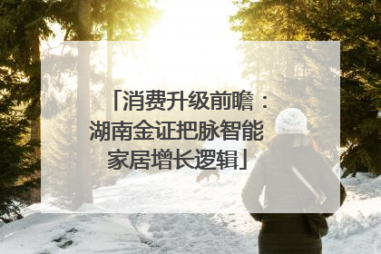 消费升级前瞻：湖南金证把脉智能家居增长逻辑