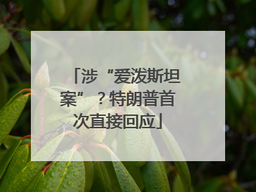 涉“爱泼斯坦案”？特朗普首次直接回应