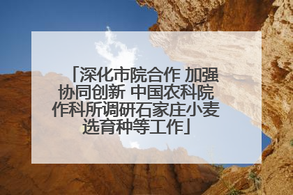 深化市院合作 加强协同创新 中国农科院作科所调研石家庄小麦选育种等工作