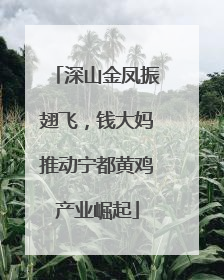 深山金凤振翅飞，钱大妈推动宁都黄鸡产业崛起