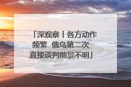 深观察丨各方动作频繁  俄乌第二次直接谈判前景不明