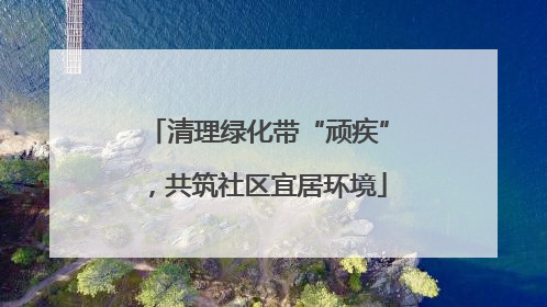 清理绿化带“顽疾”，共筑社区宜居环境