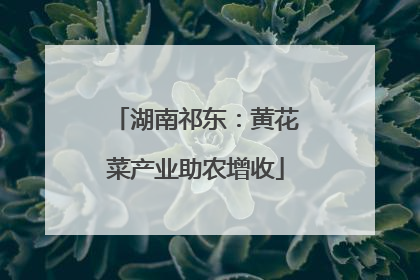 湖南祁东：黄花菜产业助农增收