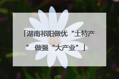湖南祁阳做优“土特产” 做强“大产业”