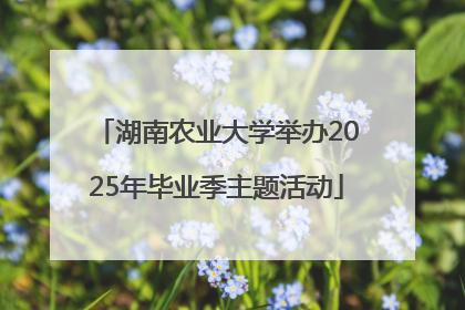 湖南农业大学举办2025年毕业季主题活动